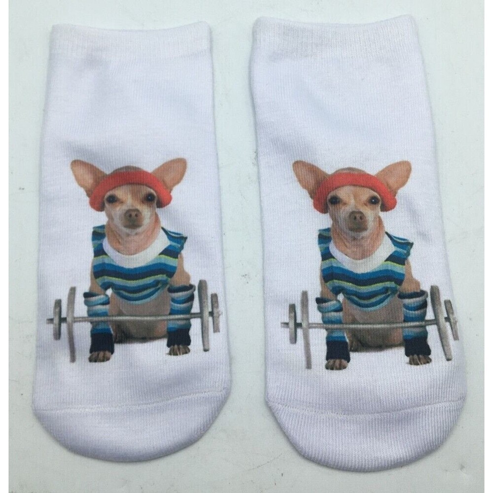 Girl Teen Socks Chihuahua Dog Weight Lifting Whimsical Read Size New Free Ship - Picture 3 of 5